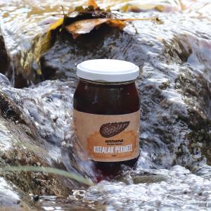 Kozalak Pekmezi – 460 g